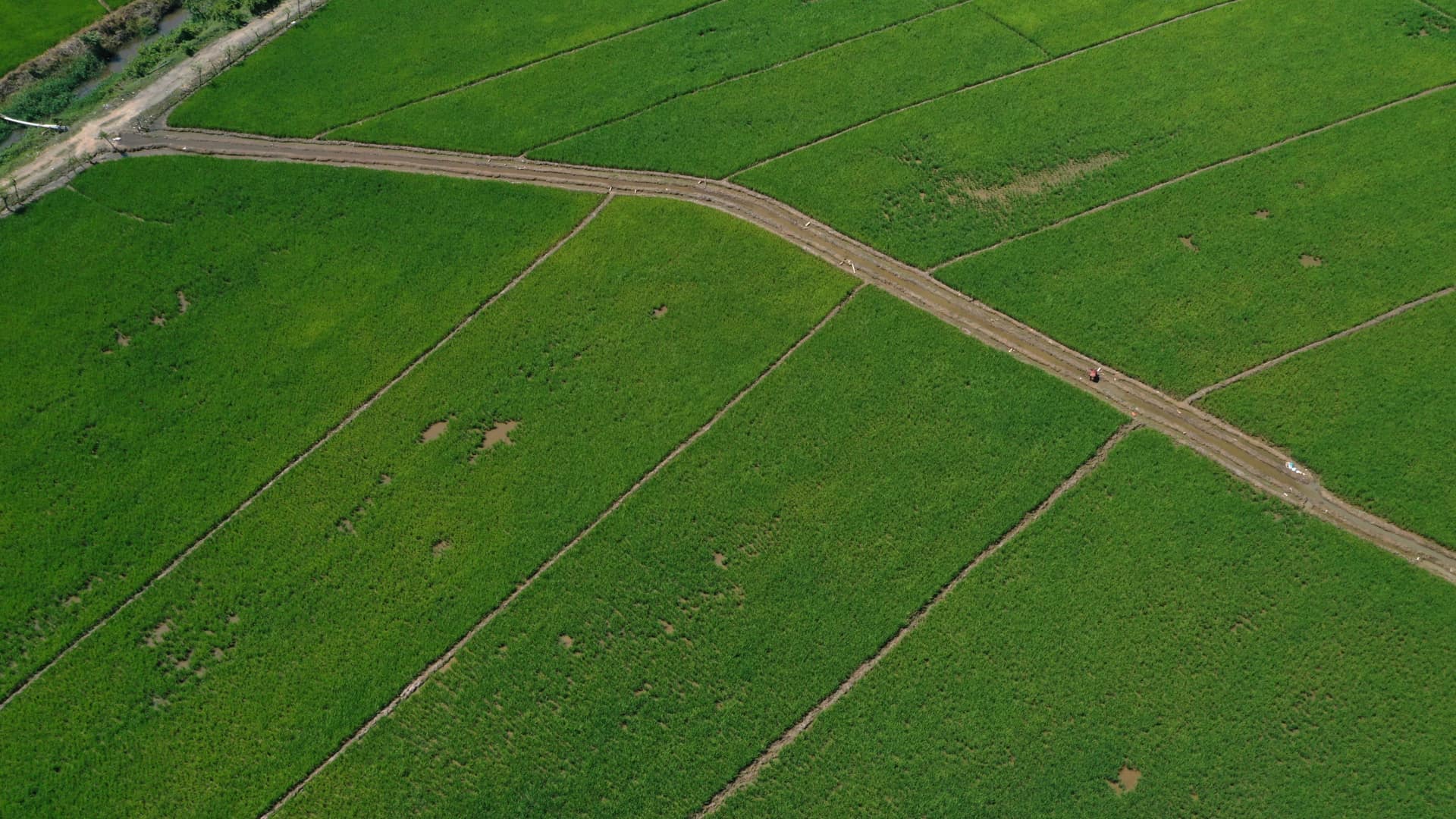 Aerial LiDAR drone service: what it is, how it works and applications in the DR
